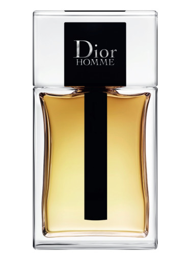 Dior Homme (2020)